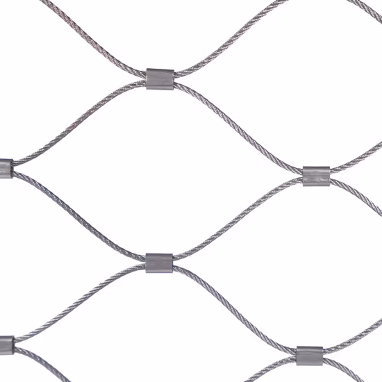 SS304 보호 로프 동물원 동물 X